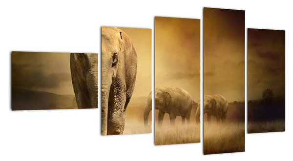 Obraz slona (110x60cm)