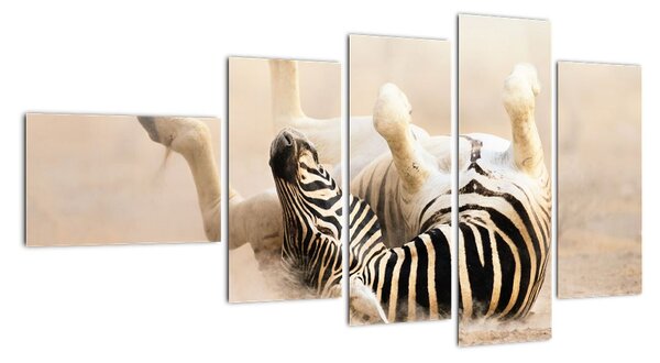 Obraz zebry (110x60cm)