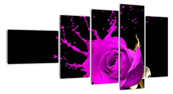 Abstraktní obraz růže - obraz (110x60cm)