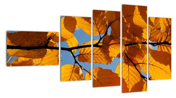 Podzimní listí - obraz (110x60cm)
