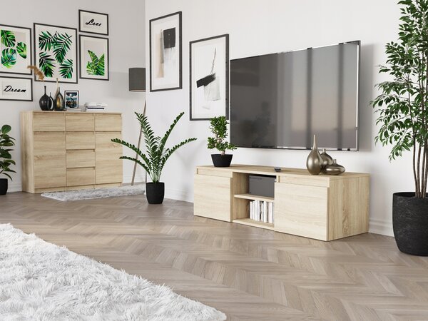 Stojící TV skříňka Framire 120 cm x 36 cm x 40 cm