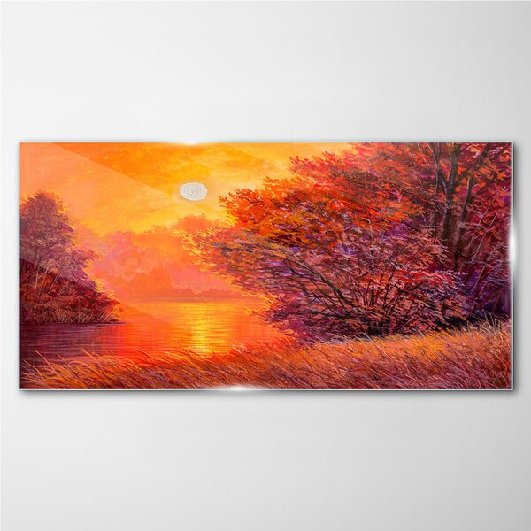 Obraz na skle Obraz na skle Lesní řeka slunce krajina
