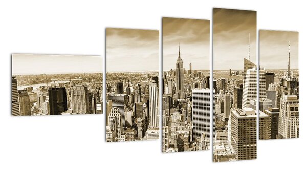 Panorama New York, obraz (110x60cm)