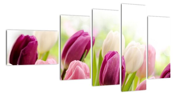 Tulipány, obrazy (110x60cm)