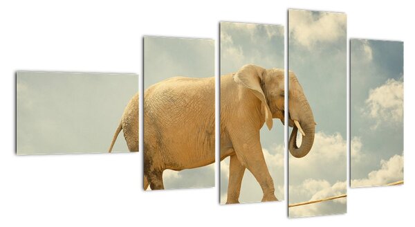Slon na laně, obraz (110x60cm)