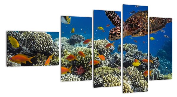 Obraz podmořského světa (110x60cm)