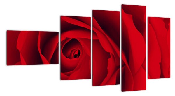 Detail červené růže - obraz (110x60cm)