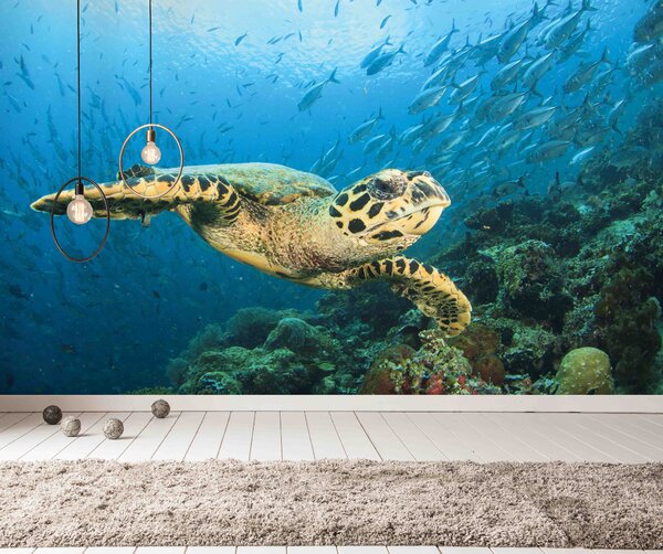 Malvis ® Tapeta mořská želva Vel. (šířka x výška): 144 x 105 cm