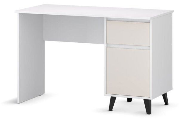 Psací stůl BORG 1d1s/120 bílý / kašmír
