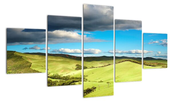 Obraz - louka (125x70cm)