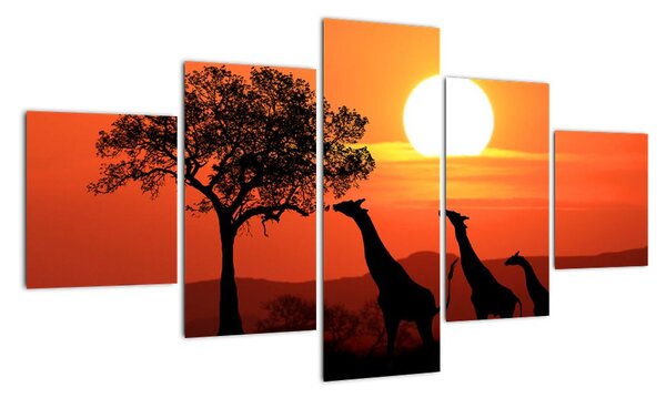 Obraz žirafy při západu slunce (125x70cm)