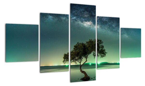 Obraz - magická noc (125x70cm)