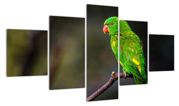 Obraz zeleného papouška (125x70cm)