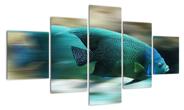 Obraz na stenu - ryby (125x70cm)