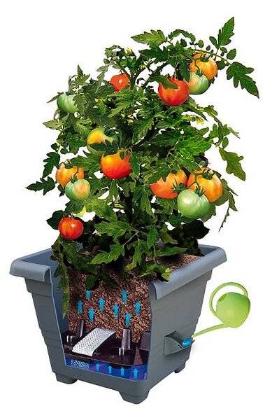 Plastia Květináč samozavlažovací BERGAMOT 50x50 terakota