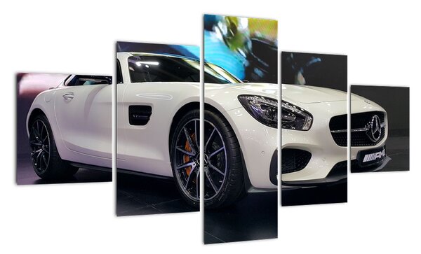 Obraz závodního automobilu (125x70cm)