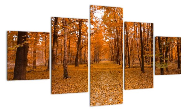 Obraz lesní cesty (125x70cm)