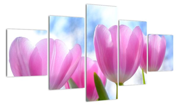Obraz růžových tulipánů (125x70cm)