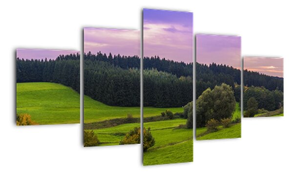 Obraz panorama krajiny (125x70cm)