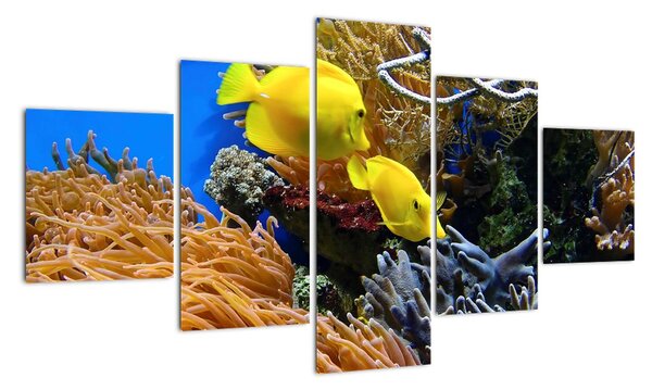 Podmořský svět - obraz (125x70cm)