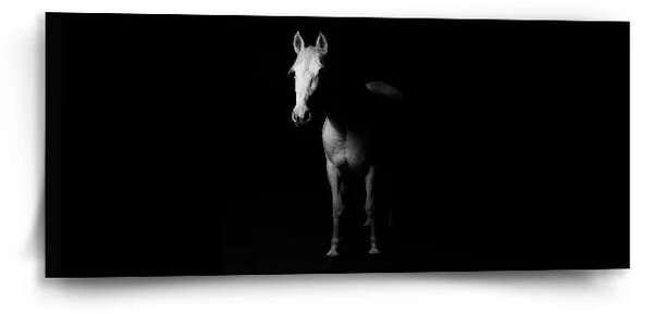 Sablio Obraz Kůň ve stínu - 110x50 cm