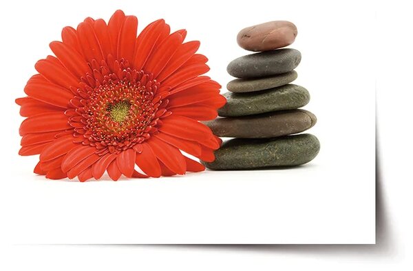 Sablio Plakát Gerbera s kameny - 60x40 cm