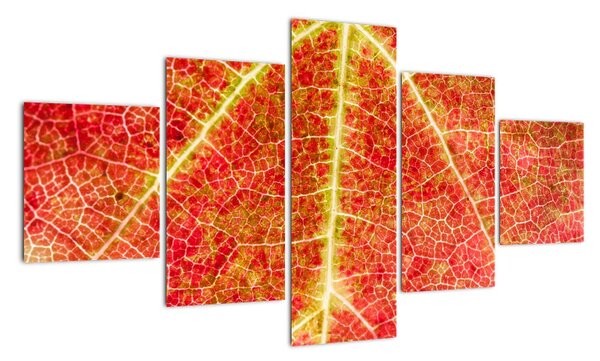 Abstraktní obraz (125x70cm)