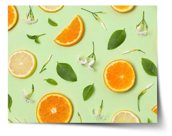 Sablio Plakát Citrus a květ - 60x40 cm