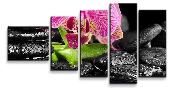 Sablio Obraz - 5-dílný Orchidej na kamenech - 100x60 cm
