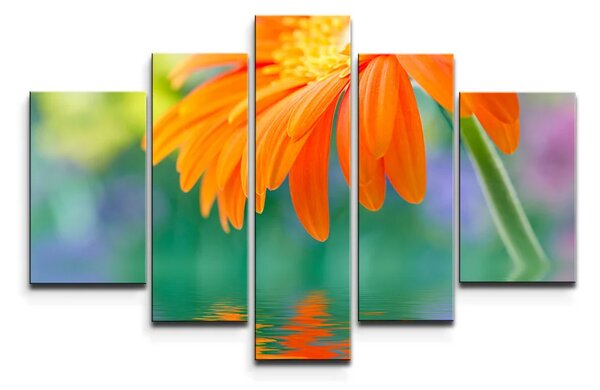 Sablio Obraz - 5-dílný Oranžová gerbera - 125x90 cm