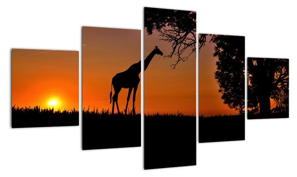 Obraz žirafy v přírodě (125x70cm)