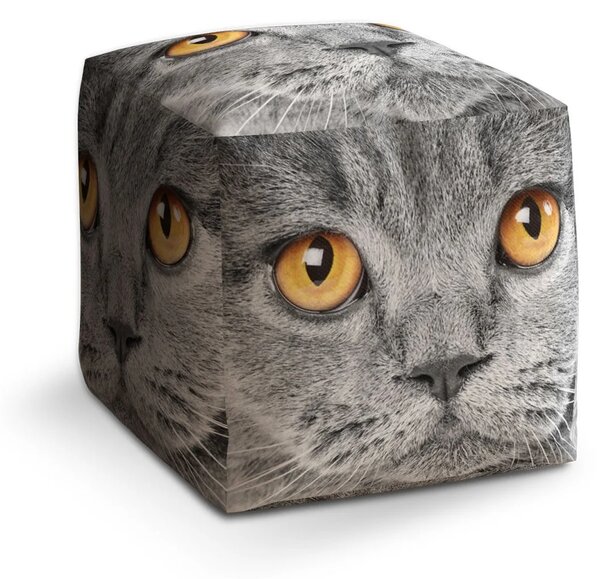 Sablio Taburet Cube Kočičí pohled - 40x40x40 cm