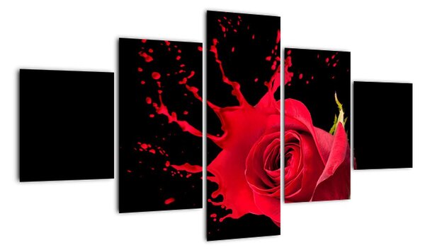 Abstraktní obraz růže - obraz (125x70cm)