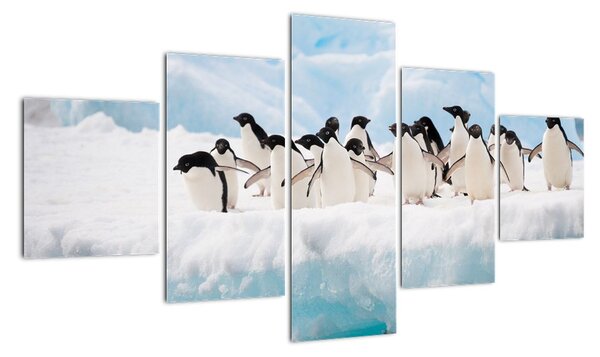 Tučňáci - obraz (125x70cm)