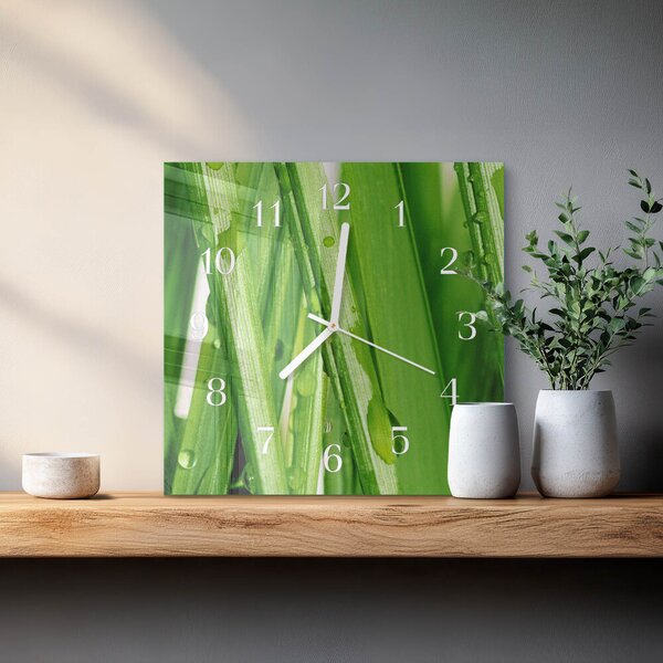Skleněné hodiny Tráva zskb-30x30-00085724