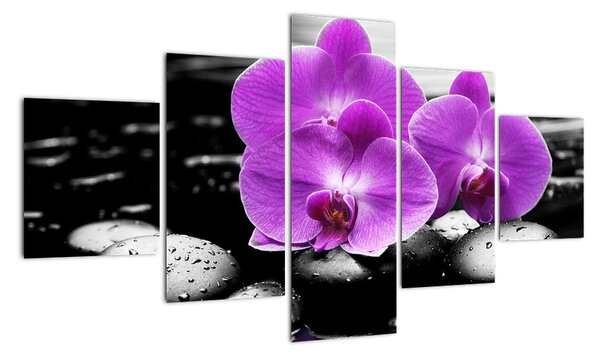 Obraz orchidejí (125x70cm)