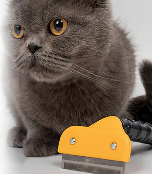 4Leaders Hřeben na srst pro psy a kočky šířka 4,5 cm