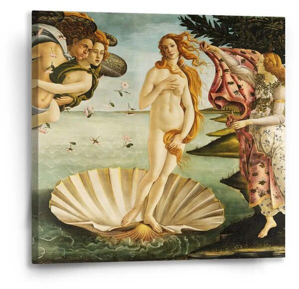 Sablio Obraz Zrození Venuše - Sandro Botticelli - 50x50 cm