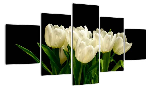 Bílé tulipány - obraz (125x70cm)