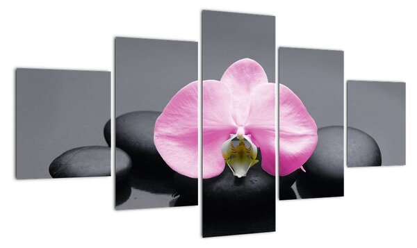 Květ orchideje - obraz (125x70cm)