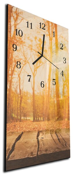 Nástěnné hodiny 30x60cm pohled podzimní les - plexi