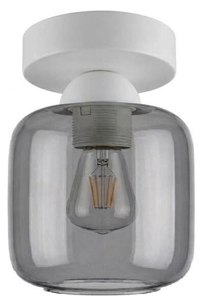 BRILAGI - LED Stropní svítidlo R GLASS 1xE27/60W/230V pr. 14 cm bílá/kouř šedá