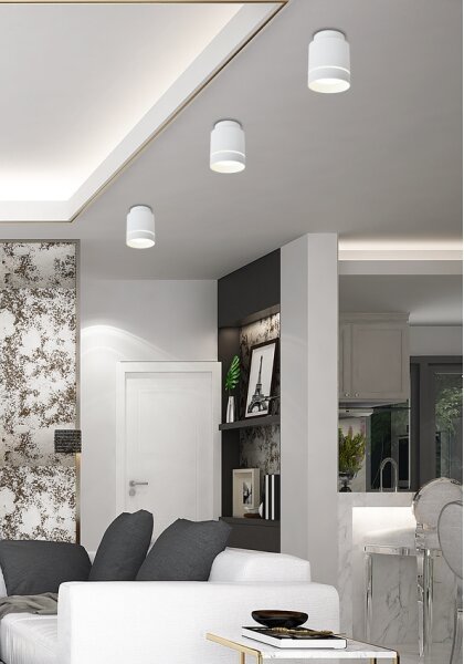 LED Stropní svítidlo TUBA LED/12W/230V