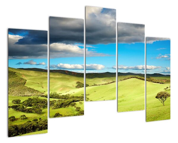 Obraz - louka (125x90cm)