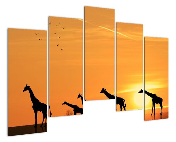 Moderní obraz - žirafy (125x90cm)