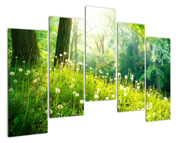 Moderní obrazy přírody (125x90cm)