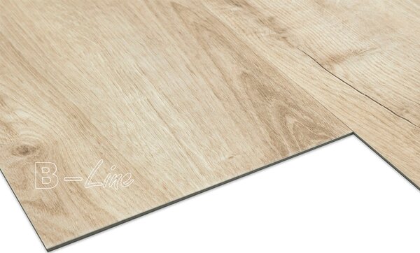 Vinylová podlaha MODULEO ROOTS 55 EIR Galway Oak 87269 registrace = slevy