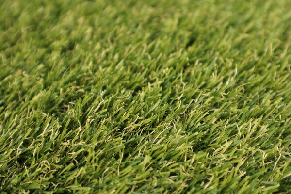 Europe Grass Metrážní umělá tráva Botanic - Rozměr na míru cm