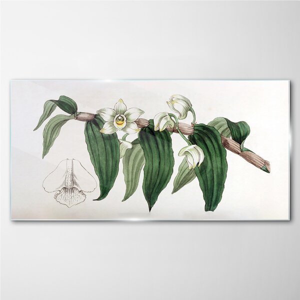 Obraz na skle Obraz na skle Kreslení květinové větve orchideje