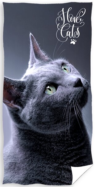 Bavlněná froté osuška 70x140 cm - Kočka britská modrá